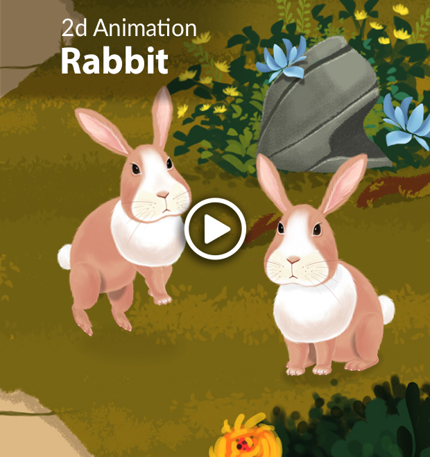 Rabbit 2D Animations